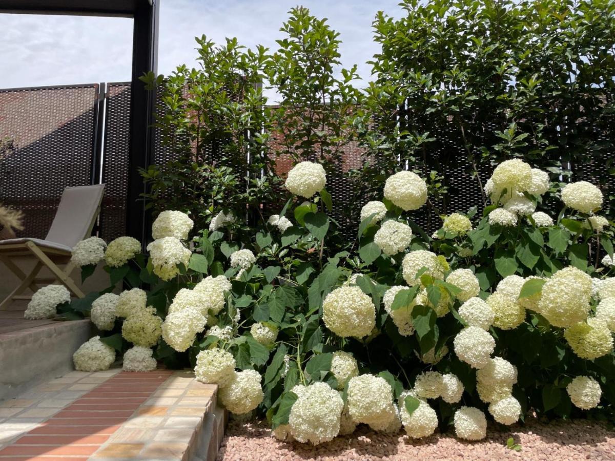 Borgata Cantone Country House B&B Garlenda Exterior foto