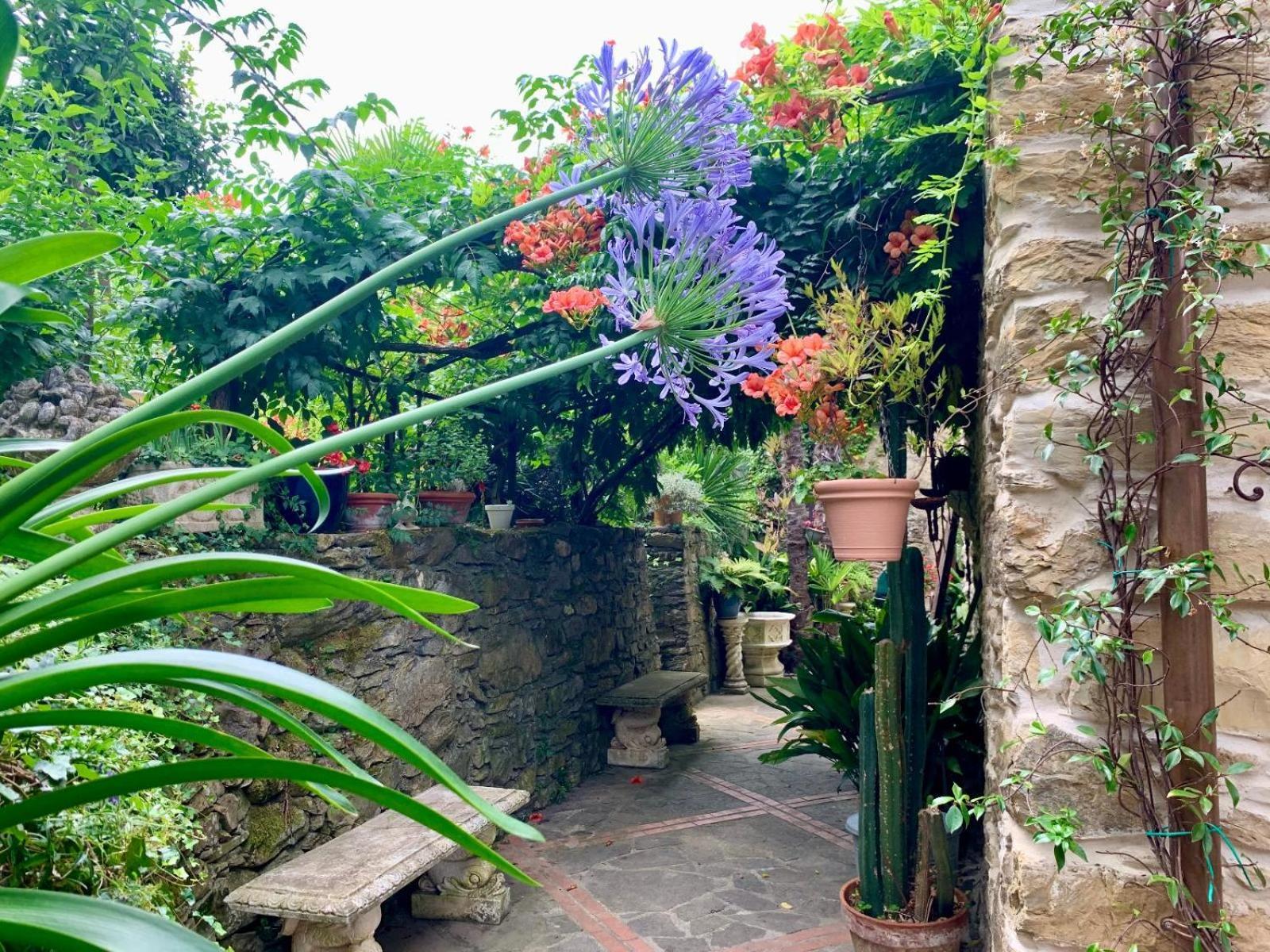 Borgata Cantone Country House B&B Garlenda Exterior foto